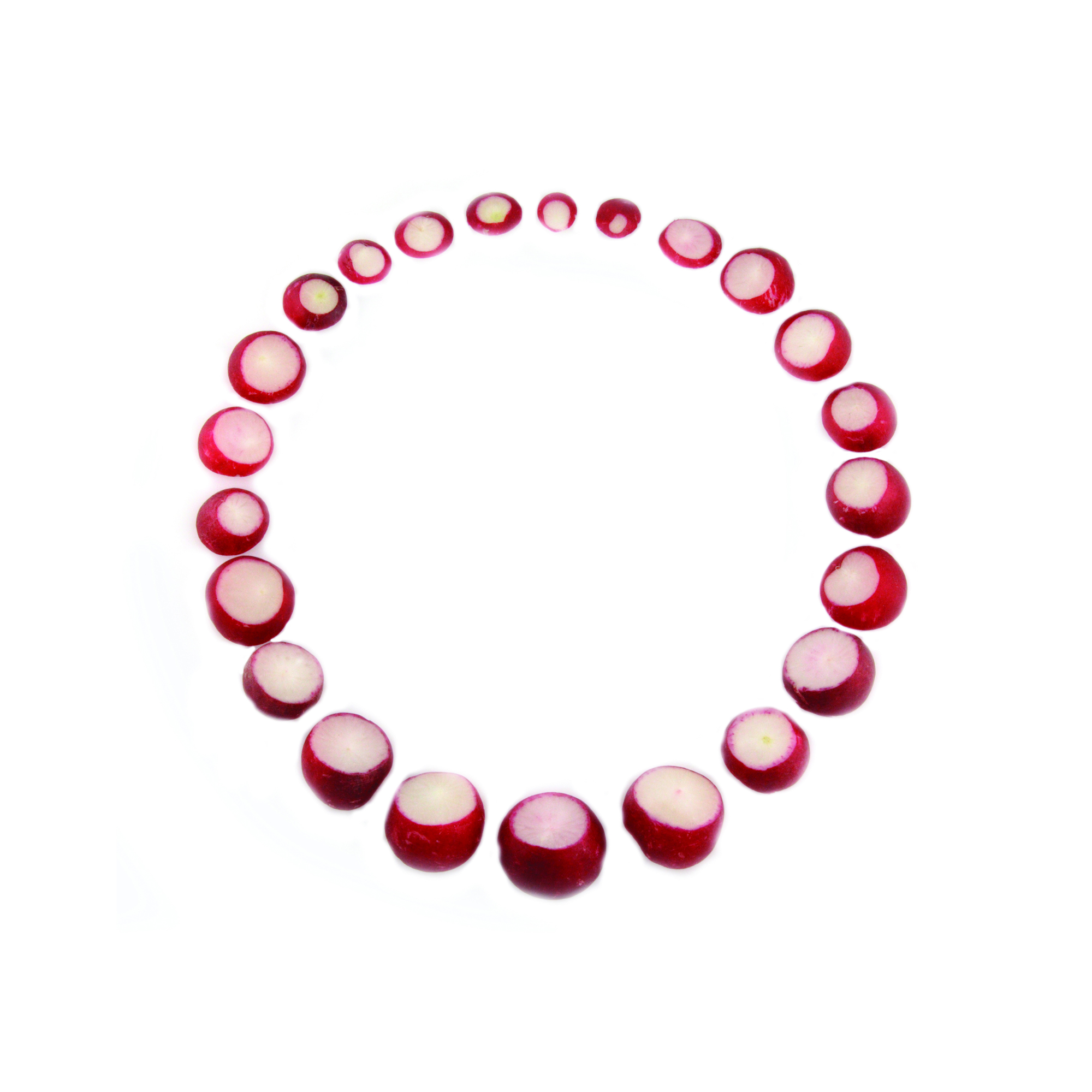 Radish necklace Oxx Jewellery